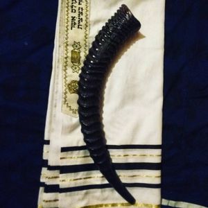 Beautiful Roan Antelope Kosher Shofar.